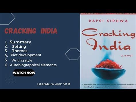 summary of cracking india|Cracking India by Bapsi Sidhwa .